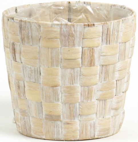 ヒヤシンス ダ鉢6号用の画像