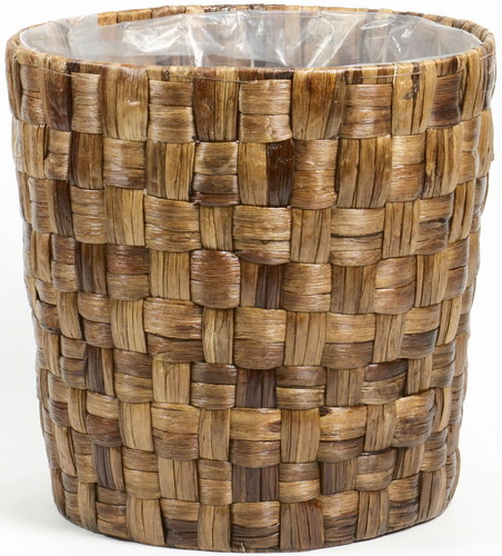 ヒヤシンスケンガイ10号用茶の画像