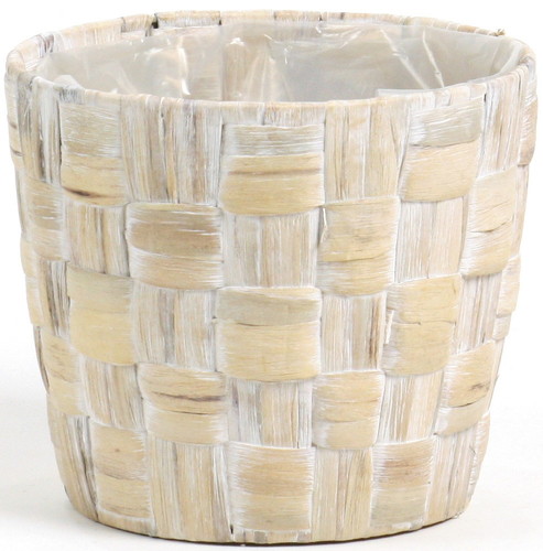 ヒヤシンス ダ鉢5号用の画像