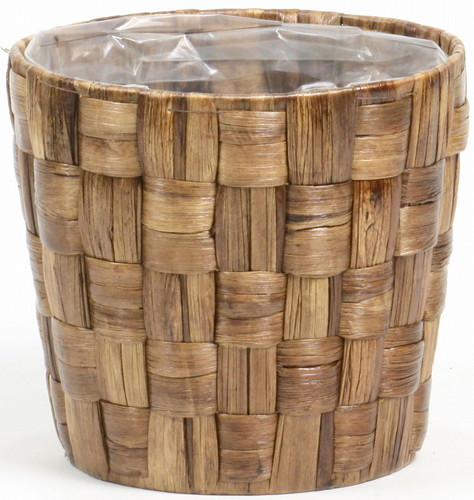 ヒヤシンスダ鉢6号用茶の画像