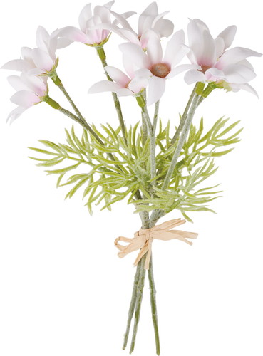 フランネルフラワーバンチ【ピンク】の画像