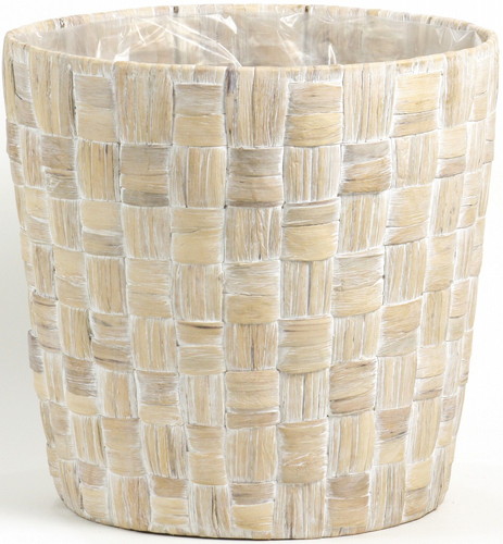 ヒヤシンスケンガイ10号用の画像