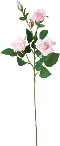 ローズ×5【ライトピンク】の画像