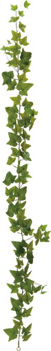 180cmアイビーガーランドの画像