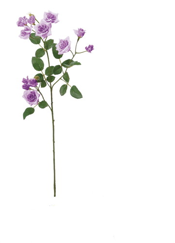 エメラルドローズスプレー【ラベンダー】の画像