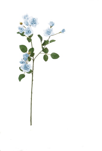 エメラルドローズスプレー【ライトブルー】の画像