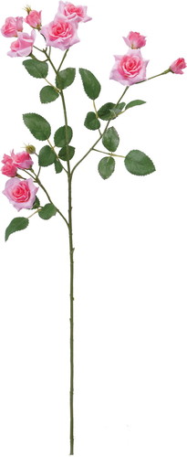 エメラルドローズスプレー【ピンク】の画像