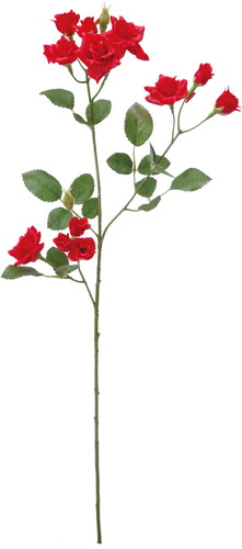 エメラルドローズスプレー【レッド】の画像