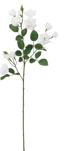 エメラルドローズスプレー【ホワイト】の画像