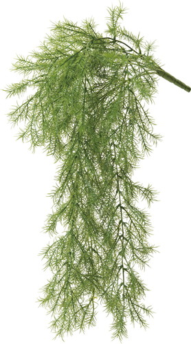 アスパラハンガー【グリーン】の画像