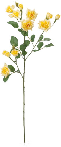 エメラルドローズスプレー【イエロー】の画像