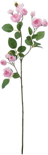 イブリンローズスプレー【ライトピンク】の画像