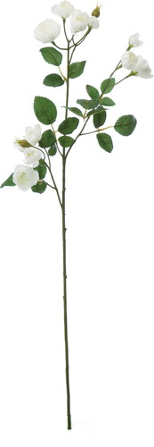 イブリンローズスプレー【ホワイト】の画像