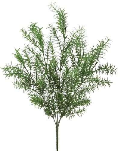 ローズマリーブッシュ【グリーン】の画像