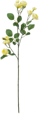 イブリンローズスプレー【イエロー】の画像