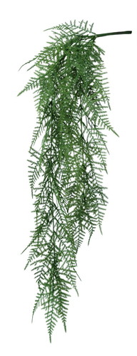 アスパラファーンハンガー【グリーン】の画像