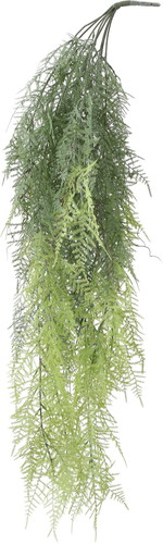 アスパラガスナナスハンガー【グリーン】の画像