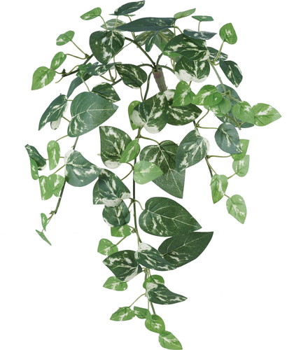 ポトスバインS【グリーン】の画像