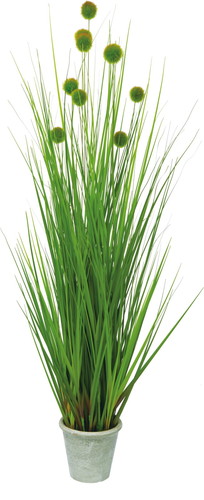 ポンポングラスポットL【グリーン】の画像