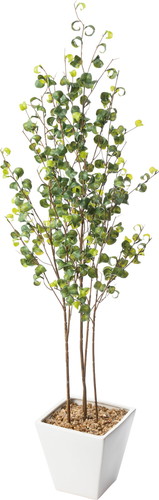 ベンジャミンバロックポット【グリーン】の画像