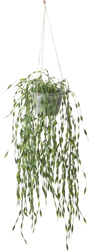 ウィローハンギングポット【グリーン】の画像