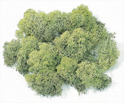 [DRO61071_700]アイスランドモス 小袋 グリーン【グリーン】の画像