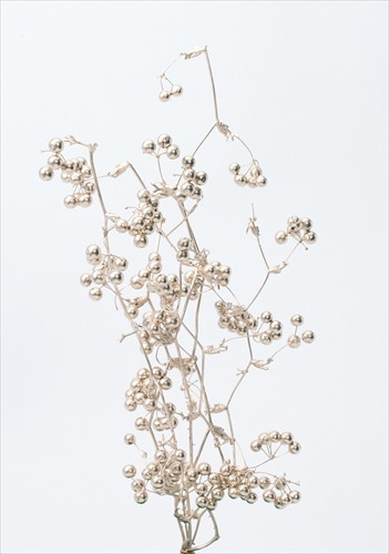 [DRO22214_932]サンキライのツル(実付き)約40cm プラチナ【プラチナ】の画像