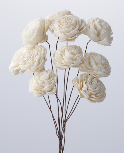 ソーラーローズ 小 白【白】の画像