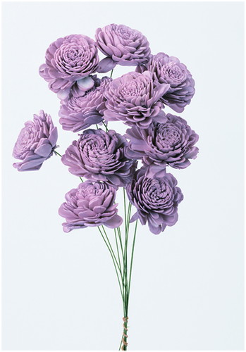 ソーラーローズ 大 クラウドピンク【クラウドピンク】の画像