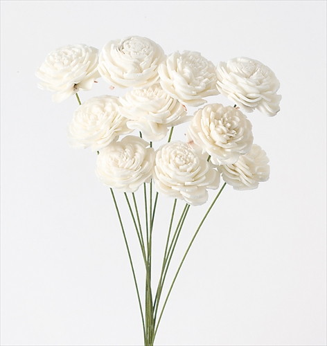 ソーラーローズ・ミニ 白【白】の画像