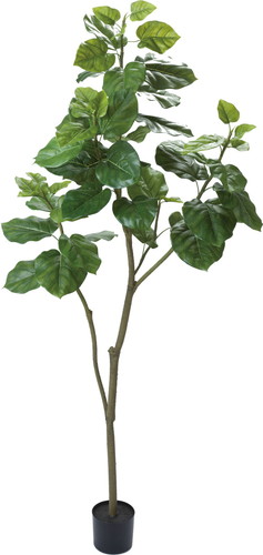 180cmウンベラータ【グリーン】の画像