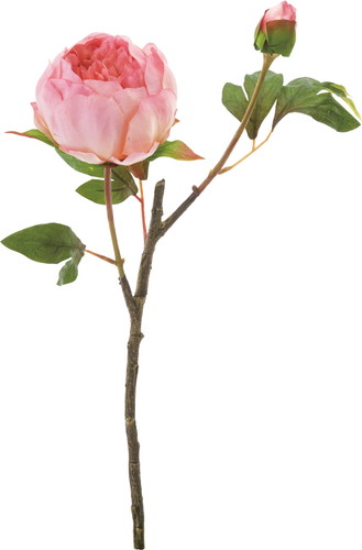 ボタン×2【モーブ】の画像