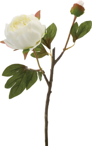 ボタン×2【ホワイト】の画像