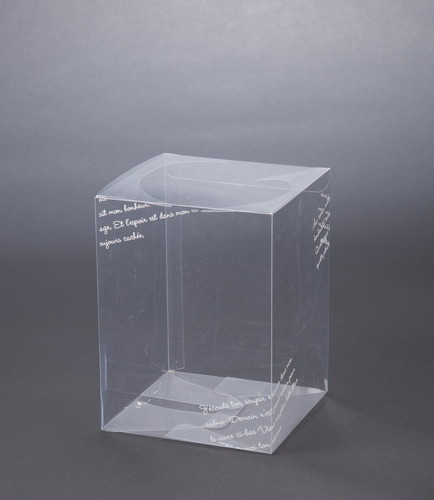 クリアボックスモジイリ S10Pの画像