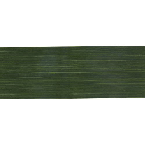 丸巻きリーフリボン 103mm×25m #000｜横浜ディスプレイ