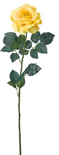 キングサテンローズ【イエロー】の画像