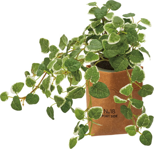 レザーバッグポットの画像