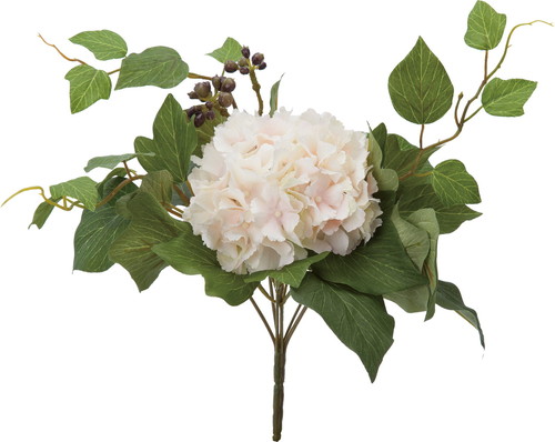 アジサイミックスブッシュ【クリームピンク】の画像