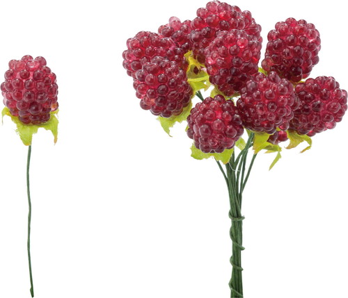 クリアラズベリーピック12P Rの画像