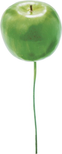 アップルピック6P L GRの画像