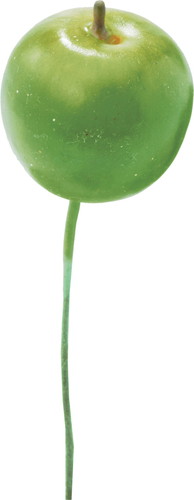 アップルピック6P S GRの画像