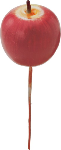 アップルピック6P S Rの画像