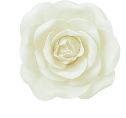 ローズヘッドデコS IVOの画像