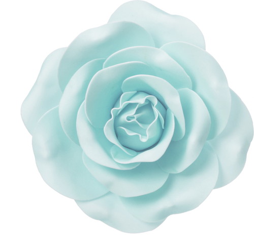 ローズヘッドデコS L/Bの画像