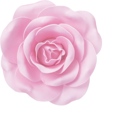 ローズヘッドデコS L/Pの画像