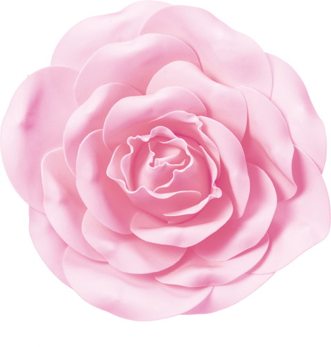 ローズヘッドデコM L/Pの画像