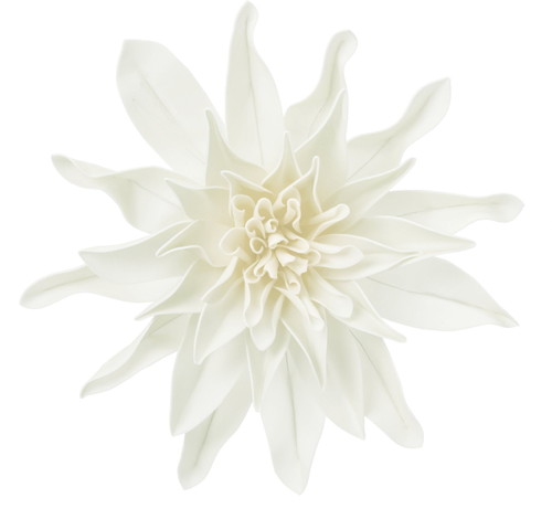 ダリアヘッドデコM IVOの画像