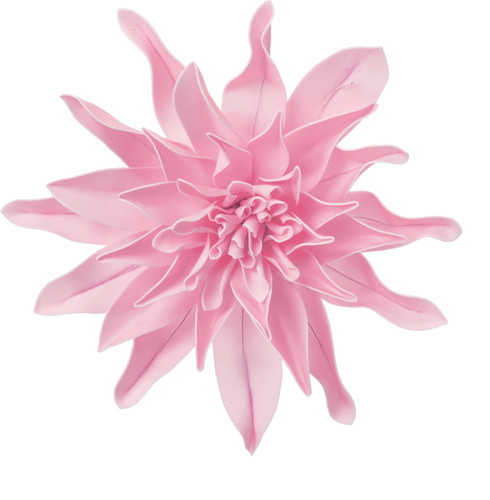 ダリアヘッドデコM L/Pの画像