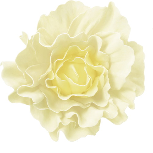 フリルローズヘッドデコM IVOの画像