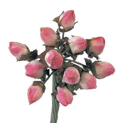 ダイアナローズ 花径7mm×長さ15cm×12本入の画像